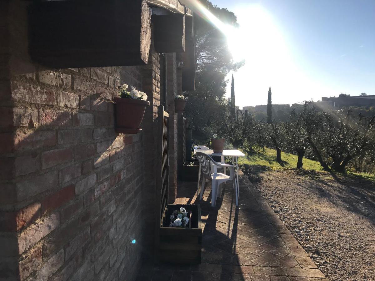 Apartmán La Perla Tra Gli Ulivi Siena Exteriér fotografie
